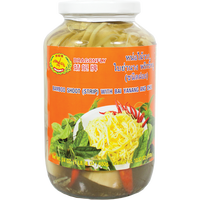 dragonfly BRAND 12167 DF BBS STRIP W/BAI YANANGCHILI