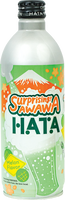 other BRAND 34701 HATA AWAWA MELON (CARBONATED)