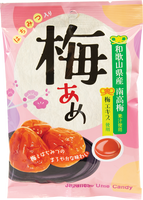 other BRAND 35070 PLUM CANDY (HARD CANDY)