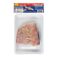 dragonfly BRAND 71190 FZ MUDCARP FISH (PLASOM)