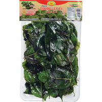 dragonfly BRAND 73042 FZ YANANG LEAVES